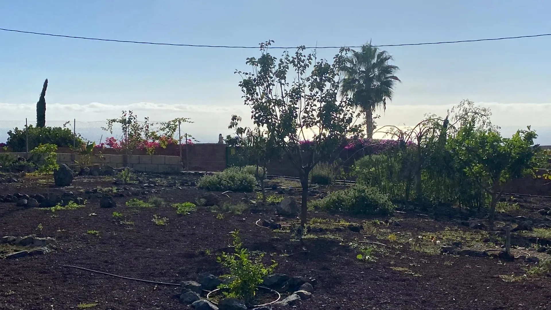 Finca Arcoíris Guía de Isora 0*,  España
